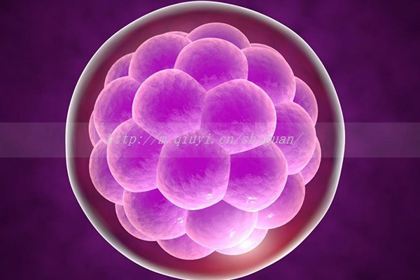 做试管卵泡多大能成功 试管卵泡多大才算成熟优势卵泡呢