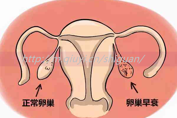 流产多久做试管合适-流产多久才可以做试管婴儿