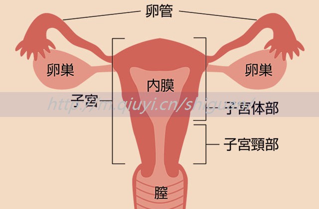 不孕不育抗体高了可以做试管吗？