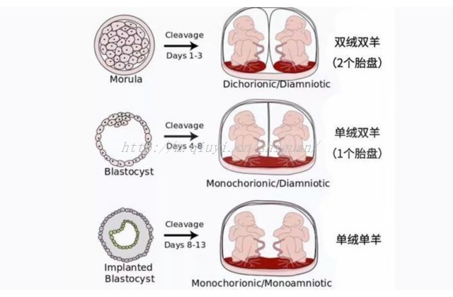 做试管在第几天查卵泡数 做试管查基础卵泡是月经第几天查