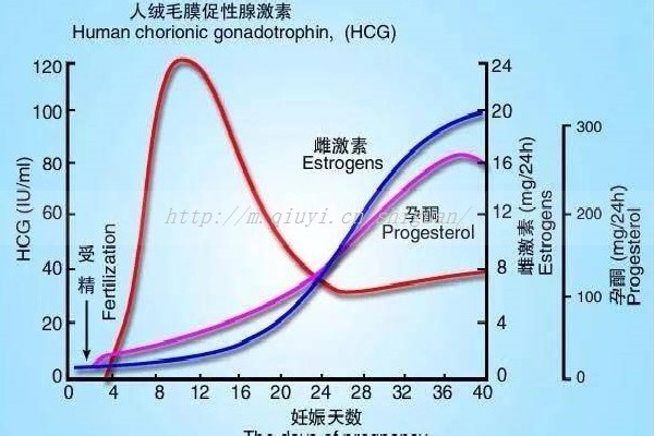 二胎做试管要办准生证吗_二胎试管需要准生证吗