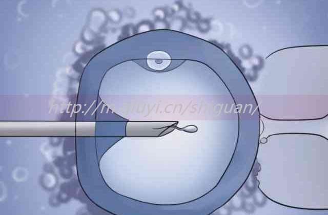 做试管老公需要检查乙肝_试管男方需要检查