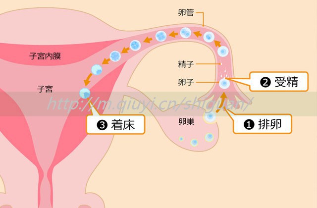 原发性不孕做试管几代